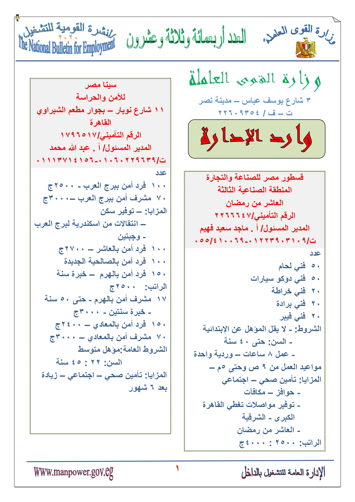 نشرة التوظيف