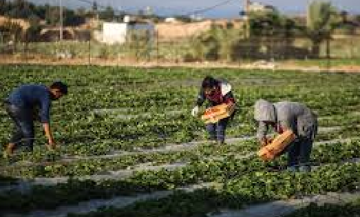 تاريخ انتهاء شهر أمشير 2021 .. ورقة نتيجة اليوم