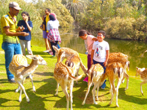 عيد الفطر 2021: أشهر الأماكن لقضاء نزهة العيد