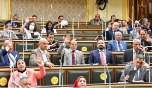 عقوبة التنمر ضد ذوي الاحتياجات الخاصة بعد إقرارها من مجلس النواب.. تعرف عليها