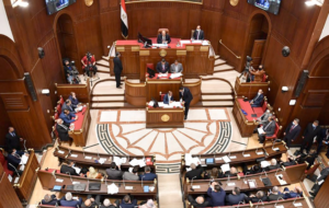 المصيلحي: تحديث بطاقة التموين..طالبنا أى رقم تليفون لأى من افراد الأسرة لاستكمال البيانات