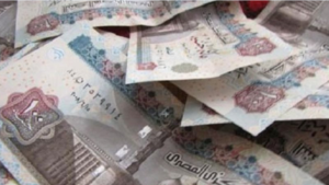 التضامن تحدد شروط جمع التبرعات النقدية أو العينية